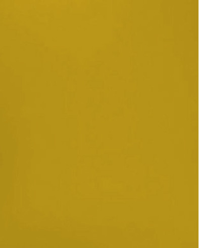 XRZ - Mustard Yellow